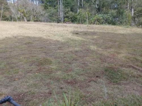 Imagem 11 de 16 de Chácara No Bairro Parelheiros, Na Zona Sul De São Paulo, Com Piscina, Pomar; 02 Lagos; Salão De Festas; Campo De Futebol E Poço Semi-artesiano Ref: 8739/ac