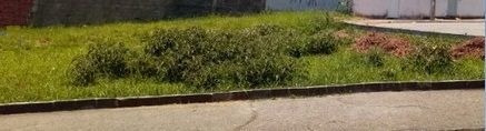 Imagem 2 de 2 de Terreno A Venda No Mariana Ii - Te0407