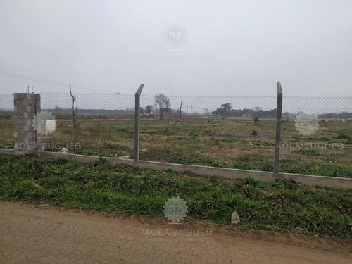 Imagen 16 de 25 de Terreno Campo En Venta En Berazategui, G.b.a. Zona Sur, Argentina