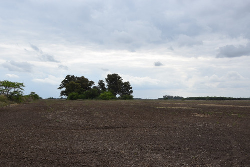 Campo En San Andres De Giles 