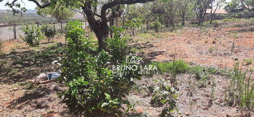 Imagem 6 de 30 de Lote À Venda Em Igarapé Condomínio Serra Verde - Te0008