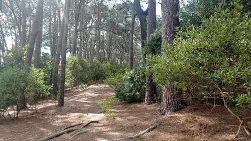 Venta Lotes Arroyo El Potrero- Punta Ballena (ref: Atm-2416)