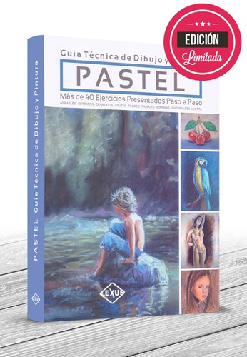 Pastel Guía Técnica De Dibujo Y Pintura