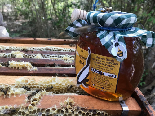 Miel De Yucatan,multifloral, Oh!rganico-sabe A Gloria, 750 G