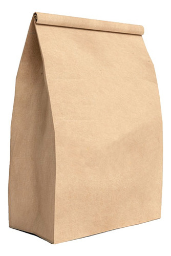100 Bolsas Papel Packaging Delivery 28x38x15 Cm Sustentable