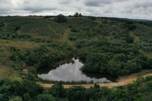Imagen 27 de 30 de Campo Ovicola En Garzon - 212 Hectareas