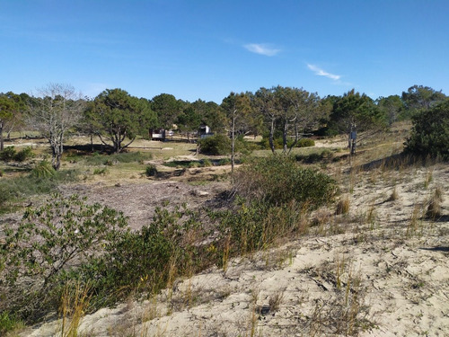 Imagen 17 de 19 de Solar - En Venta En La Viuda Punta Del Diablo A 150m De La Playa - Mza 253