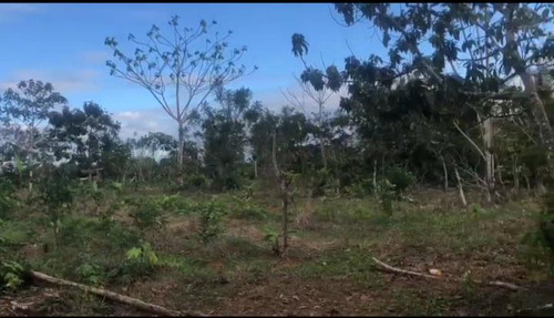 Se Vende Finca En Monte Plata 