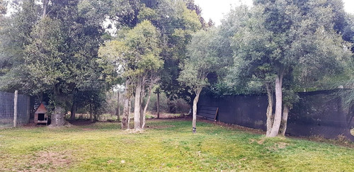 Imagen 19 de 22 de ¡precio Reducido! Casa En Venta Ubicado En Casa De Piedra, Bariloche, Patagonia