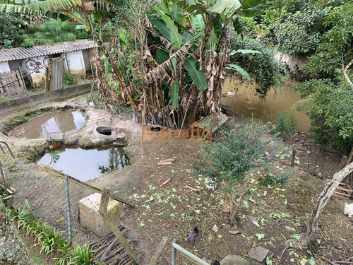 Imagem 16 de 17 de Chácara À Venda, Jardim Renata, Itapecerica Da Serra/sp - 4667