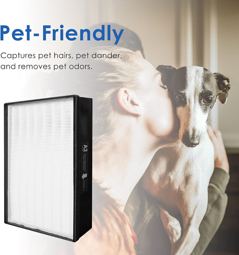 Filtro De Repuesto Hepa Tipo A2 H13, Compatible Con Purifica