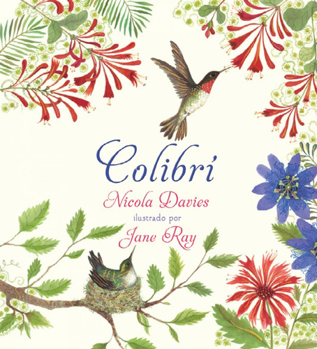 Colibri