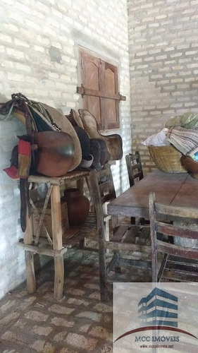 Imagem 14 de 30 de Granja A Venda Entre Monte Alegre E Brejinho