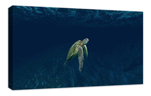 Cuadro Canvas Decorativos Tortuga Mar