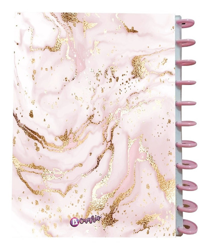 Cuaderno De Discos Prof. Pasta Dura 100hjs 105grs +100 Reps