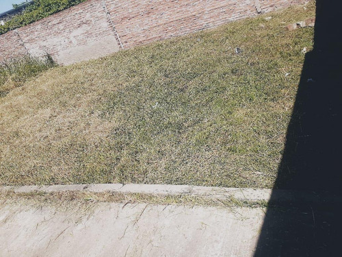 Imagen 2 de 3 de Terreno - Santo Tomé