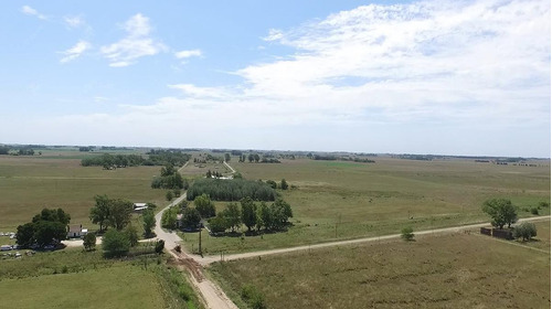 Imagen 2 de 16 de Campo Mixto De 280 Has En Venta Con Inmejorable Acceso Sobre Asfalto En Ranchos - Oportunidad !