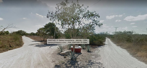 Imagen 4 de 9 de Terreno De 1 Hectárea En Venta En Conkal Merida. Gran Oportunidad!