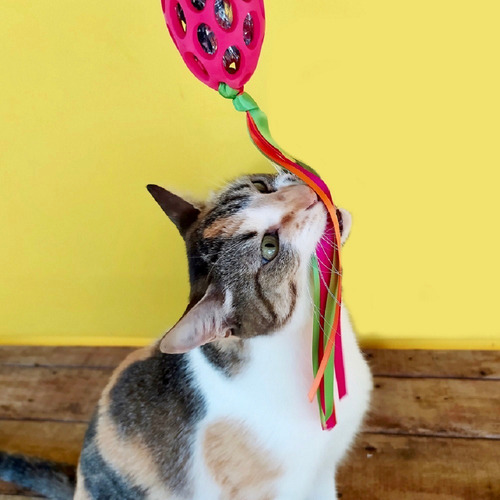 Imagem 3 de 4 de Brinquedo P/ Gato Jw Cataction Football With Streamer