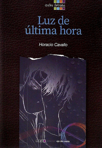 Luz De Ultima Hora, De Horacio Cavallo. Editorial Civiles Iletrados, Tapa Blanda, Edición 1 En Español