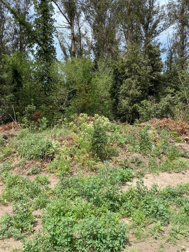 Imagen 2 de 6 de En Venta 3 Lotes En El Paseo De La Ribera Del Rio Quequén - Necochea. Gran Oportunidad Para Inversores!