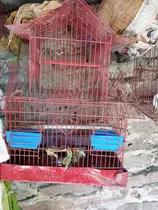 Comprar Jaulas Varias,10 Todas 30 M