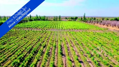 Campo en venta