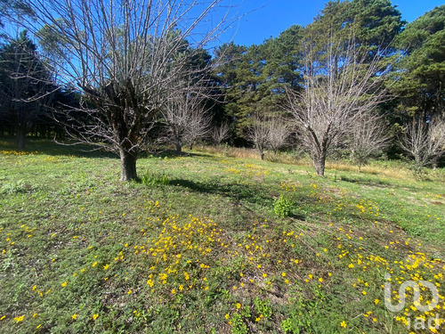 Venta Terreno 0 Ambiente Las Peras