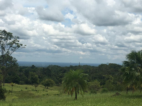 Imagen 8 de 18 de Quintas De 5000 M2 En Sarapiquí Con Y Sin Construcción Desde 25 Millones De Colones