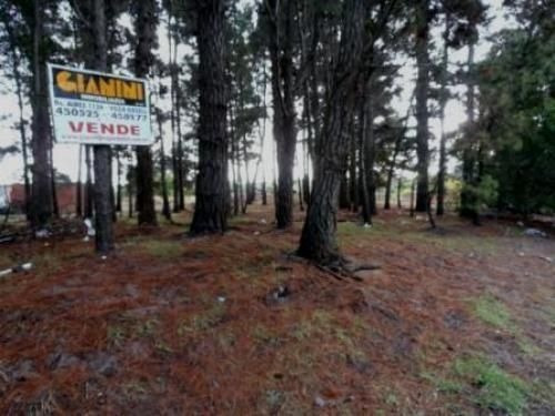Imagen 2 de 3 de Terreno En Venta En Mar Azul
