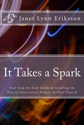 Libro It Takes A Spark : Your Step-by-step Guide To Kindl...