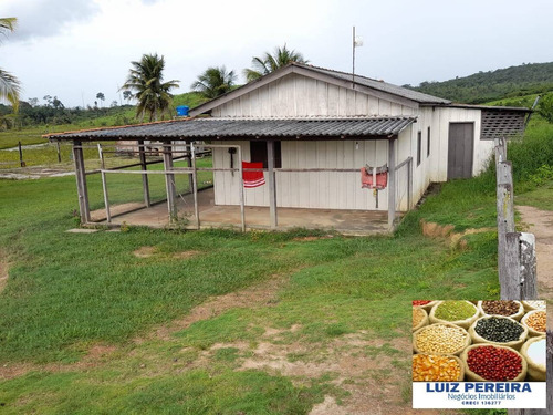 Imagem 14 de 14 de Fazenda À Venda Em Anapu - Pa - De 400 Alqueirões (pecuária) - 1661