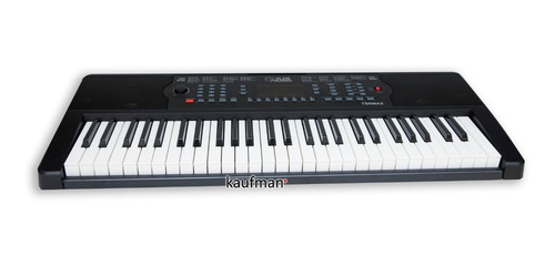 Imagen 5 de 7 de Teclado Musical 54 Teclas Salida Auxiliar 300 Sonidos Ritmos