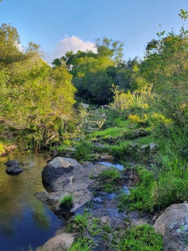 Imagen 3 de 19 de Campo 7 Has Con 1333 M2 Cerca De Aigua