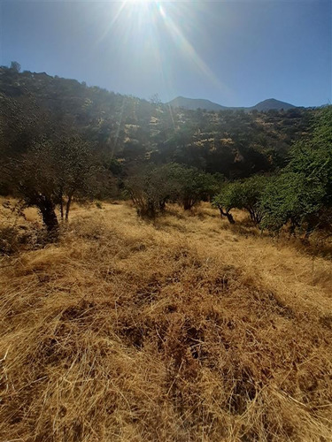 Sitio En Venta En Curacaví