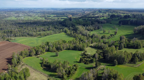 Campo En La Unión Cercano Al Lago Ranco 27,4 Hectáreas