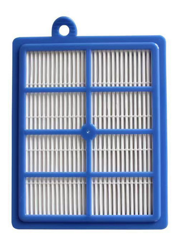 Filtro Hepa De Polvo Para Aspiradora Electrolux Aeg F-fs