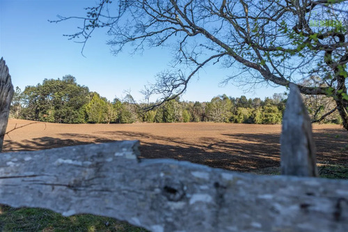 Agrícola En Venta En Fresia