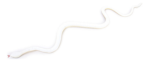 Juguete De Truco De Simulación De Modelo De Serpiente Cobra