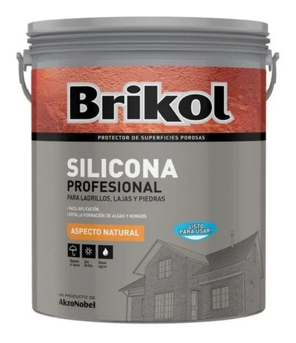 Protector Base Acuosa Brikol Silicona Profesional 4l Davinci