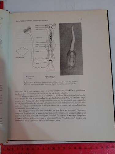 Zoologia Richard A Boolootian (Usado)