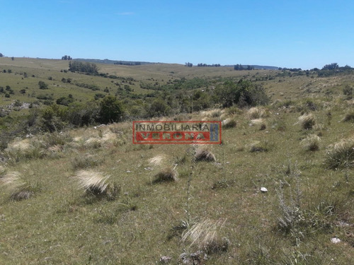 Imagen 11 de 16 de Campo En Carape - Departamento De Maldonado