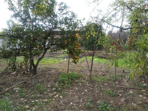 Imagen 8 de 12 de Se Vende Terreno Comercial Quinta Tilcoco