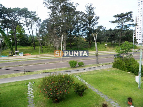 Imagen 2 de 9 de Apartamento En Alquiler