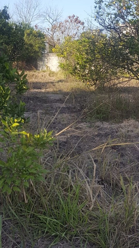 Imagen 7 de 8 de Terreno En Allende Nl