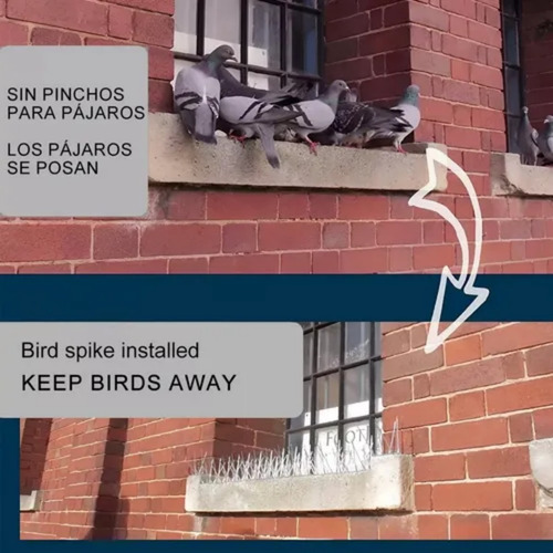 14 Pcs Púas Antipalomas Y Aves Caja Con Lineales Inoxidables