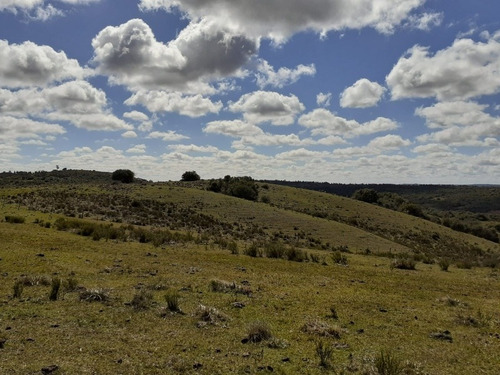 Campo Financiado