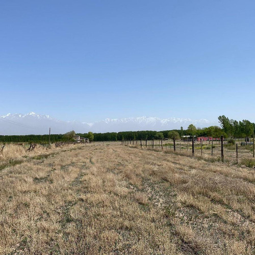 Venta | Terreno | Vista Flores | Tunuyán | Valle De Uco | 2.178 M2