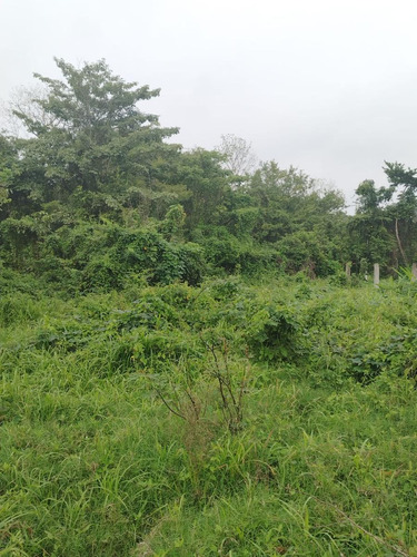 Venta De Terreno Excelente Ubicacion En San Bartolo Tuxtepec Oaxaca