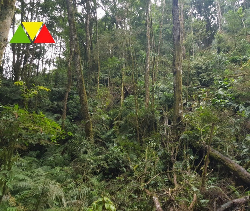 Imagem 13 de 22 de Chácara Serrinha - Ch00085 - 34982956